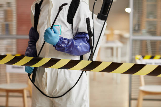 Professional Blood Cleanup technician working in Key Biscayne, FL